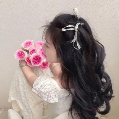 约见波布